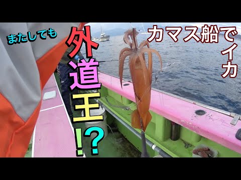 沖のカマス釣りでイカん!? 【またしても外道王？】