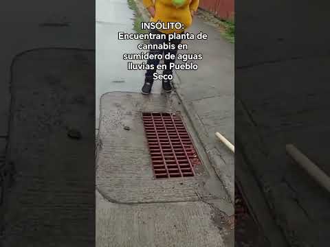 Estaban de la pennywise👀