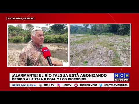 ¡Por tala ilegal e incendios! Agoniza el río Talgua, y peligra el agua potable en Catacamas
