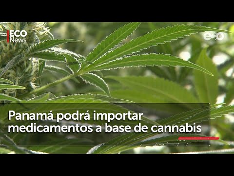 Promulgan decreto que reglamenta uso medicinal del cannabis en Panamá | #Eco News