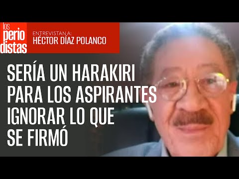 #Entrevista | Lo que está en juego es mucho, sería un harakiri ignorar lo que se firmó: Díaz Polanco