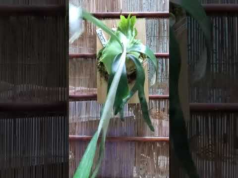 個人的質問に答えてみた