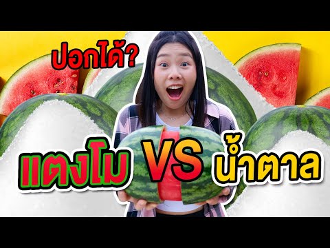 แตงโม-vs-น้ำตาล-ปอกแตงโมได้จริ แตงโม-vs-น้ำตาล-ปอกแตงโมได้จริ