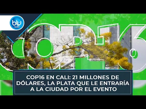 COP16 en Cali: 21 millones de dólares, la cifra que le entraría a la ciudad por el evento