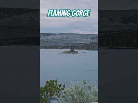 Flaming Gorge #automobile #peaceful #ride #mountains #outdoors #lake #birdsong #nature