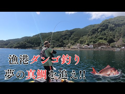 #413【釣り大陸】シマアジ猛攻をかわせ！漁港のダンゴ釣りで大本命マダイを狙う 第一章