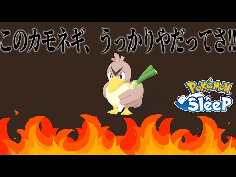【NMD最高】みんな欲しがってるうっかりや食材確率のカモネギ出たよ!!!!【ポケモンスリープ】