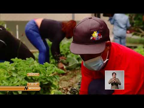 Misión Agroalimentaria de Cuba impulsa agricultura periurbana en Venezuela