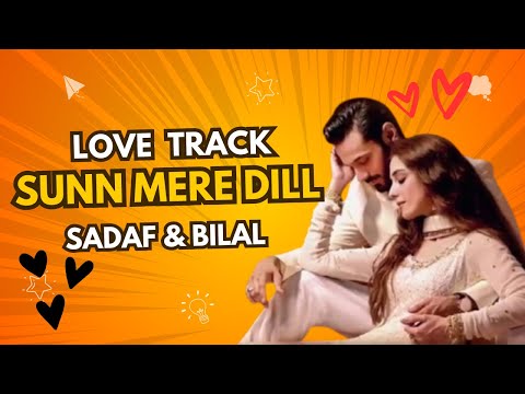 Sunn mere Dill highlights, #youtubeshorts #sunnmeradil #pakistan #bahrain #drama #trending poster
