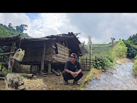 ชาวลาหู่ใช้ชีวิตอยู่ในป่าเลี้ยงหมูไก่,บรรยากาศน่าอยู่มากครับ[อาข่าน้อย]