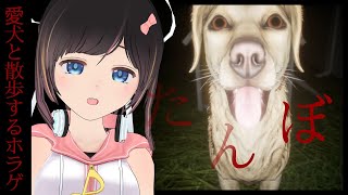 【たんぼ】台風が過ぎ去った夏の夜に愛犬のぼんたとたんぼを散歩する【ホラーゲーム/＃のんなま】
