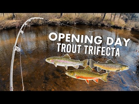 PA opening day trout fishing 2026! (trout trifecta) video thumbnail