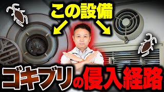 【9割が知らない】対策しないとゴキブリだらけ！？絶対抑えて欲しい害虫発生の条件！【住宅設備】