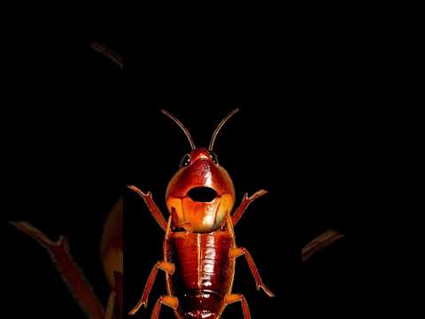 Ouch. 🤕 #memes #stubbingtoe #funny