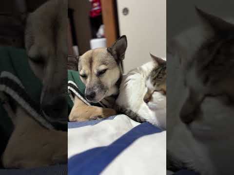 まさか！最後にそうなるの？