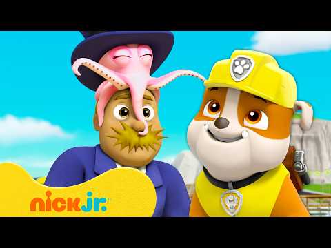 دوريات المخلاب | إيقاف العمدة همدنغر! | نيكلوديون | Nick Jr. Arabia