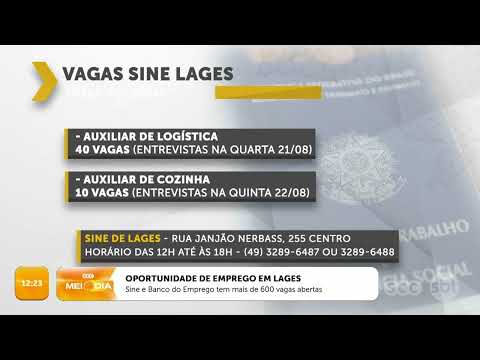 Sine e Banco do Emprego tem mais de 600 vagas abertas em Lages | Cotidiano | SCC Meio-Dia