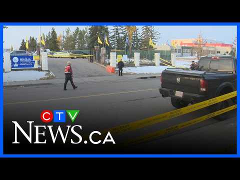 Pedestrian seriously injured in Martindale collision |CTV News Calgary Noon Update for Oct. 26, 2026