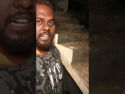 gray wolf vasu captured on old building!!!#graywolf #ghosts #shorts #viwes #subscribe