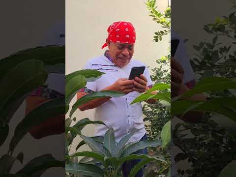 cayo la remesa jaja #humor #guatemala