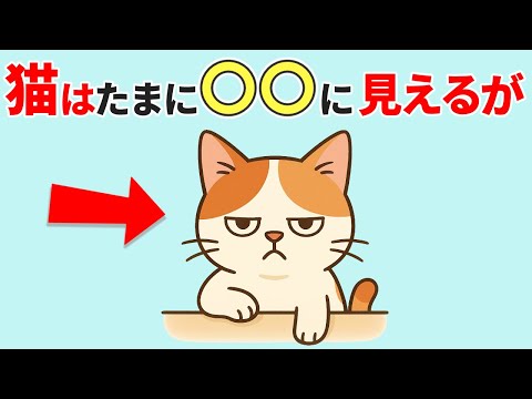 猫とネコ科の行動に隠された習性：10の驚きの豆知識 サムネイル