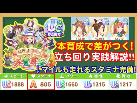 【大豊食祭攻略】本育成は絶対にここで差がつく！新シナリオ序盤～終盤までを実戦形式で徹底解説‼【ウマ娘/理事長抜きサポカ編成】