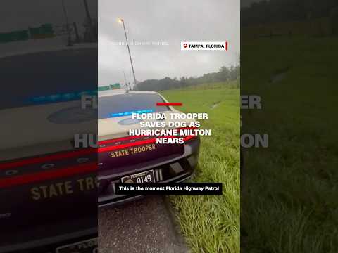 Florida trooper saves dog as Hurricane Milton nears