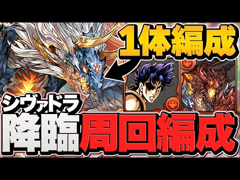 シヴァドラ1体のみで希石乱獲！シヴァドラ降臨周回編成！10周年ラストチャレンジクリアした人向け！【パズドラ】