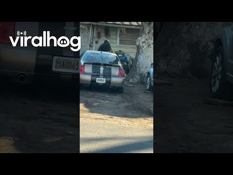 How to Roll Up a Water Hose 101 || ViralHog