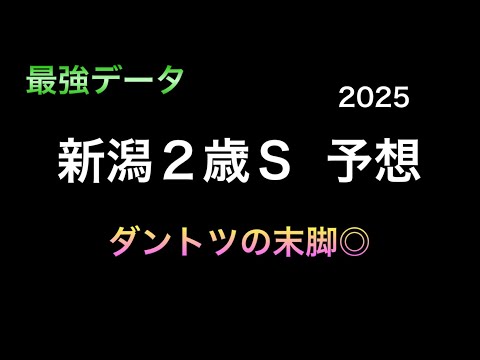 【競馬予想】 新潟2歳ステークス 予想 2025