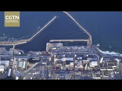 Manifestantes de todo Japón protestan en Fukushima al año del inicio del vertido