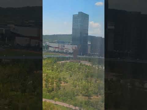 World’s First Upside-Down Train in China – Riding the Future in Optic Valley!