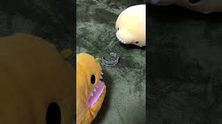 おしゃれだぞ！ #それだけ