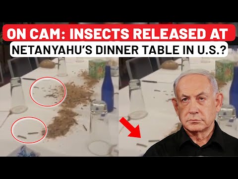 Netanyahu’ US Hotel Vandalised By Pro-Palestinian Protesters; Maggots, Crickets At ‘Dinner’ Table