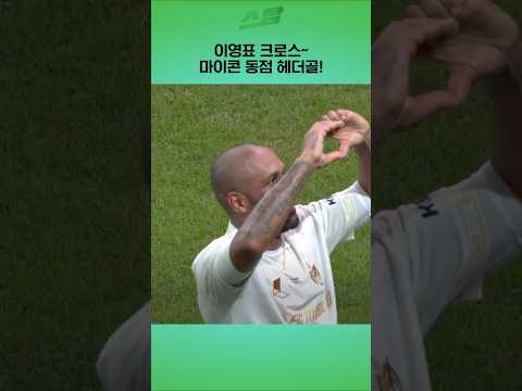 이영표 크로스~ 마이콘 동점 헤더골!