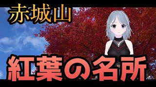 紅葉狩りに、赤城山攻めてきた！？