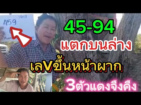 เลvขึ้นหน้าผาก54-94เฮบนล่าง