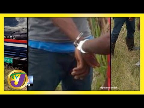 Suspected Cow Thieves Arrested in St. Elizabeth, Jamaica | TVJ News - April 6 2021