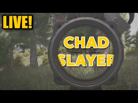 CHILL RAID STREAM - Arena Breakout Infinite