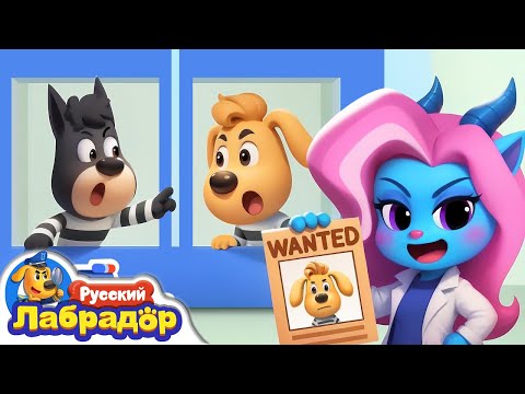 Кто из них вор? | 🔍Новый эпизод | 🎒Образовательный мультик | Шериф Лабрадор