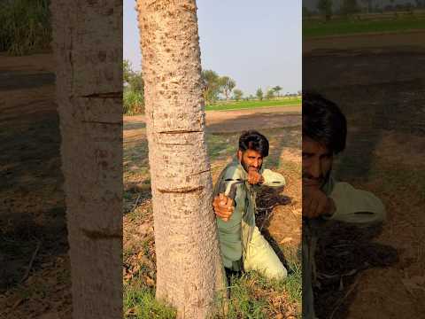 Birds ko bachna chaye #viralvideos #viralshorts #ytshorts