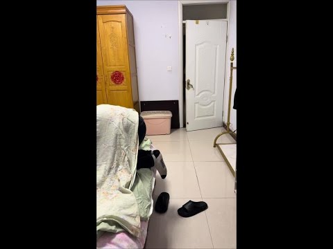 怎么办？现在跑还来得及吗？ #赵娜娜