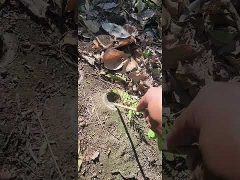 mira lo que me encontré algo perturbador