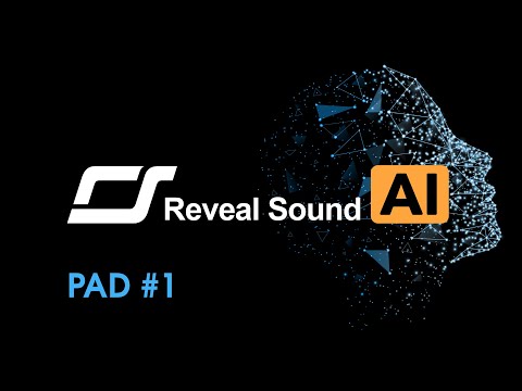 Reveal Sound AI Tutorial - Spire Pad #1