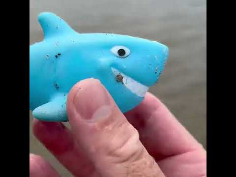 Finding This Shark Toy On The Beach – Adventure Starts Here!