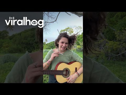 Musician Rolls With It When Hair Gets Tangled In Tree Branch || ViralHog