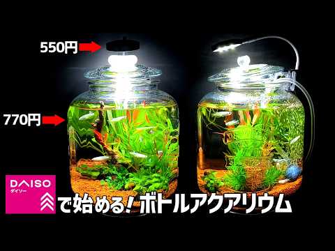 【100均DIY】 コスパ最強！ダイソー水槽用LEDライト・エアーポンプ・ガラスボトルで【ボトルアクアリウム】立ち上げ！【メダカ・ベタ・エビの小型水槽】