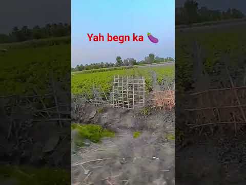 #bhojpuri #song #khesari #देख #funny #dj #highlights