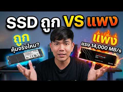 <strong>SSD</strong> ถูก VS แพง  แรงเท่ากัน แต่ใช้จริงไม่เท่ากัน.....