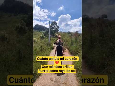 que mis días brillen como rayo de sol